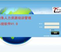 管理軟件開發(fā)、銷售與計(jì)算機(jī)系統(tǒng)集成服務(wù)的綜合解析